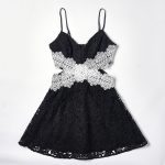 Ladies' Lace Camisole Waist Revealing Dress